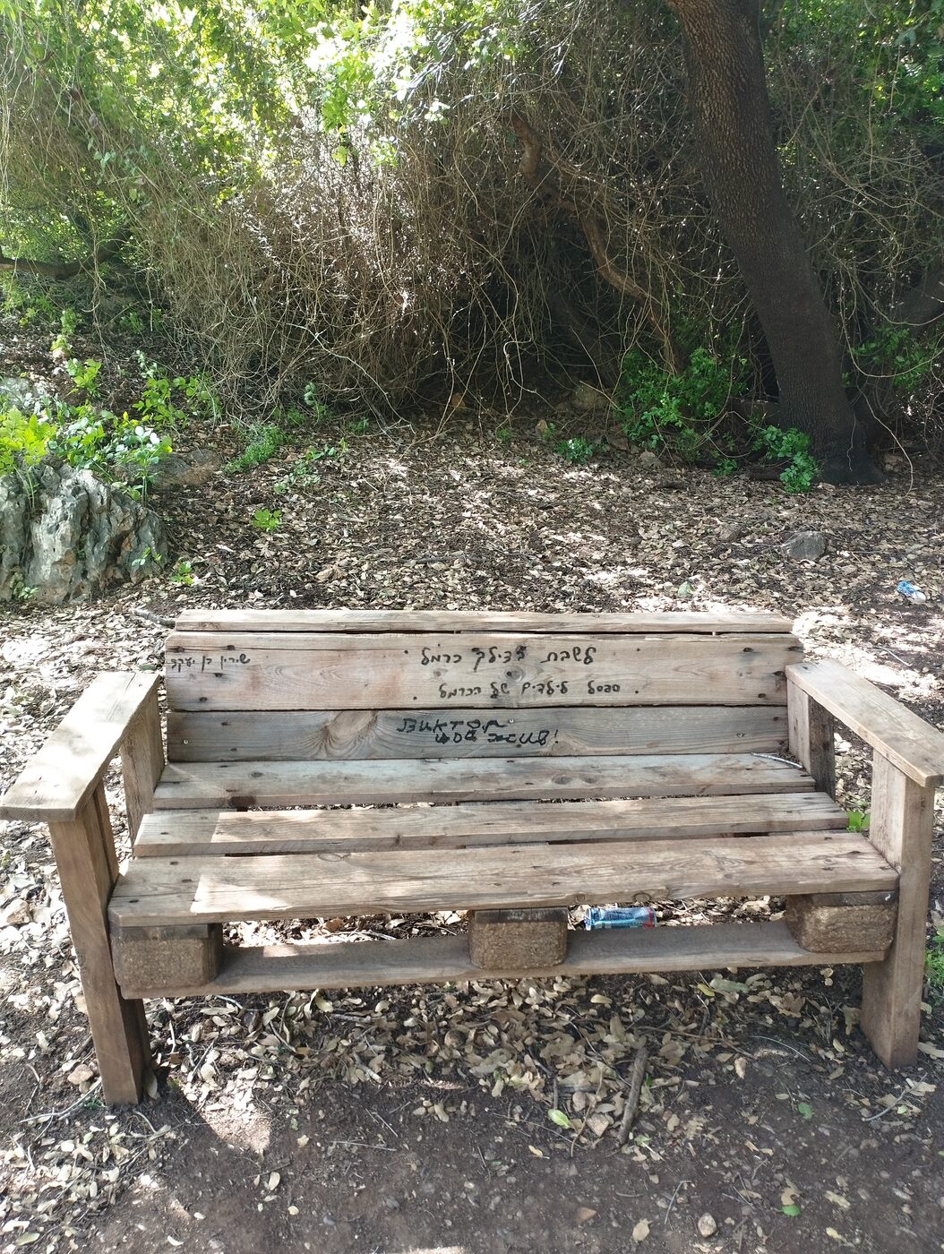ספסל עץ ביער עם כתב יד עליו